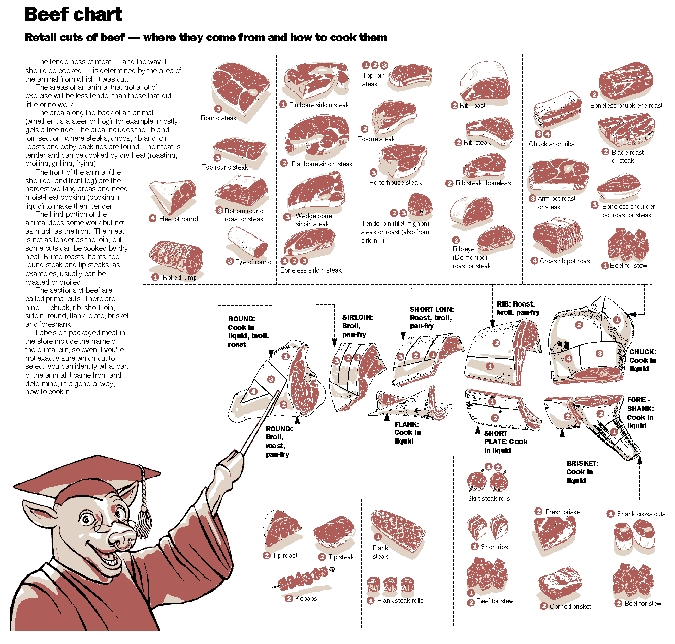 Cuts of beef chart pdf